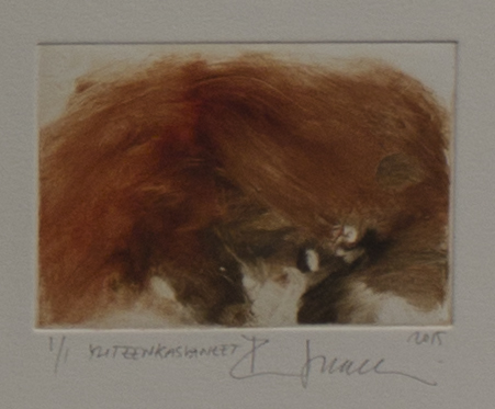 Soininen Riikka: Yhteenkasvaneet - Pienet vedokset - t9777 - 1