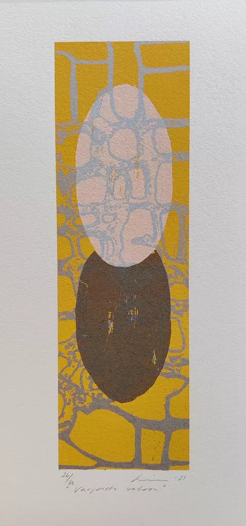 Virve Lilja: Varjosta valoon - Pienet vedokset - t11927 - 1