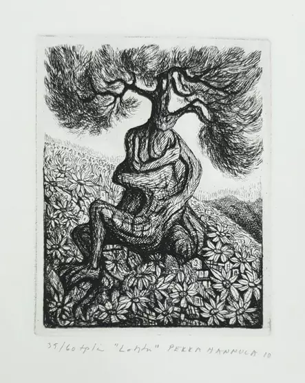 Hannula Pekka: Lohtu - Pienet vedokset - t9968 - 1