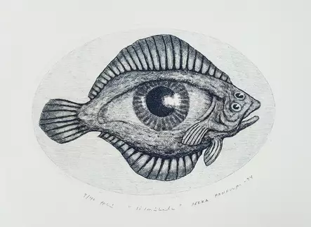 Hannula Pekka: Silmäkala - Pienet vedokset - t9948 - 1