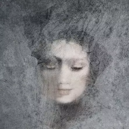 Hintsanen Päivi: Kyynelkadon hoitajat: Onnenkyynelten istuttaja - Keskisuuret vedokset - t12328 - 2