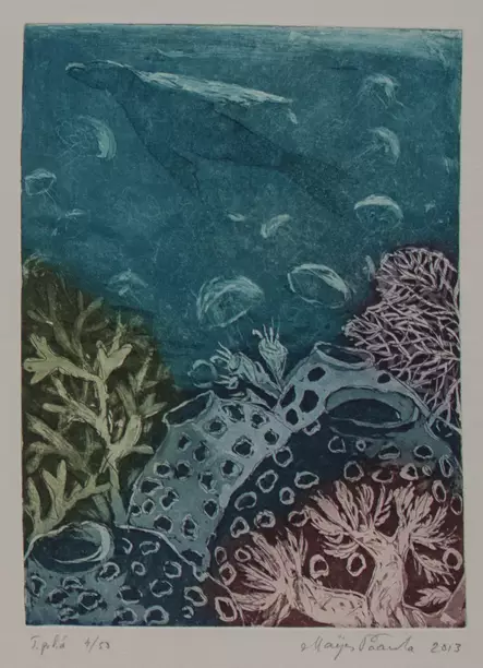 Paavola Maija: Kohti pintaa - Pienet vedokset - t8988 - 1