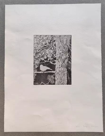 Sinioja Aino: Nimetön - Pienet vedokset - t12388 - 1