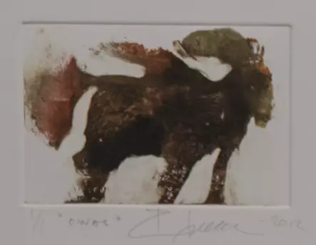 Soininen Riikka: Oinas - Pienet vedokset - t8728 - 1