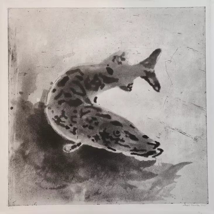 Rankka Lauri: Hauki on kala - Keskisuuret vedokset - t12098 - 1