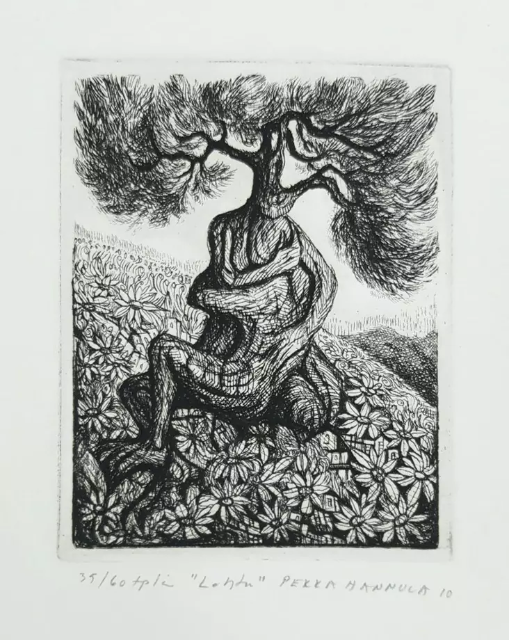 Hannula Pekka: Lohtu - Pienet vedokset - t9968 - 1