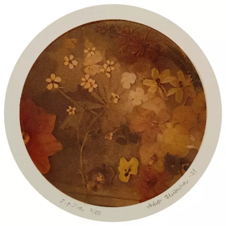 Heikura Asko: Sarjasta Kristallipallot - Pienet vedokset - t11338 - 1