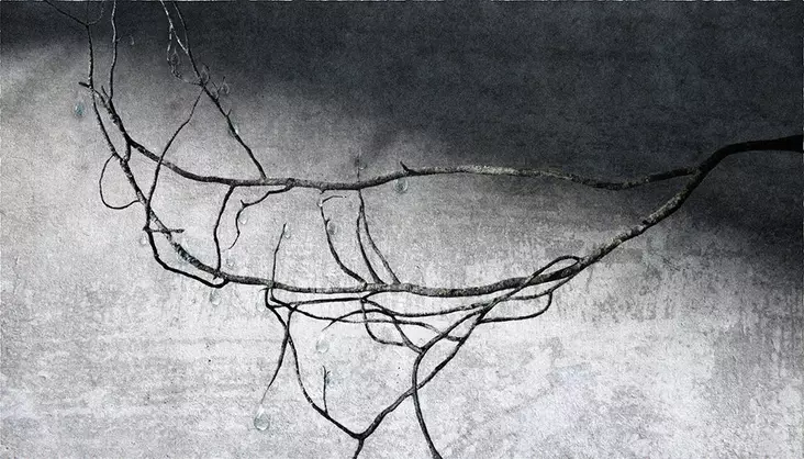 Hintsanen Päivi: Kyynelpuun oksat: Toivonpuun kyyneleet - Keskisuuret vedokset - t11698 - 1