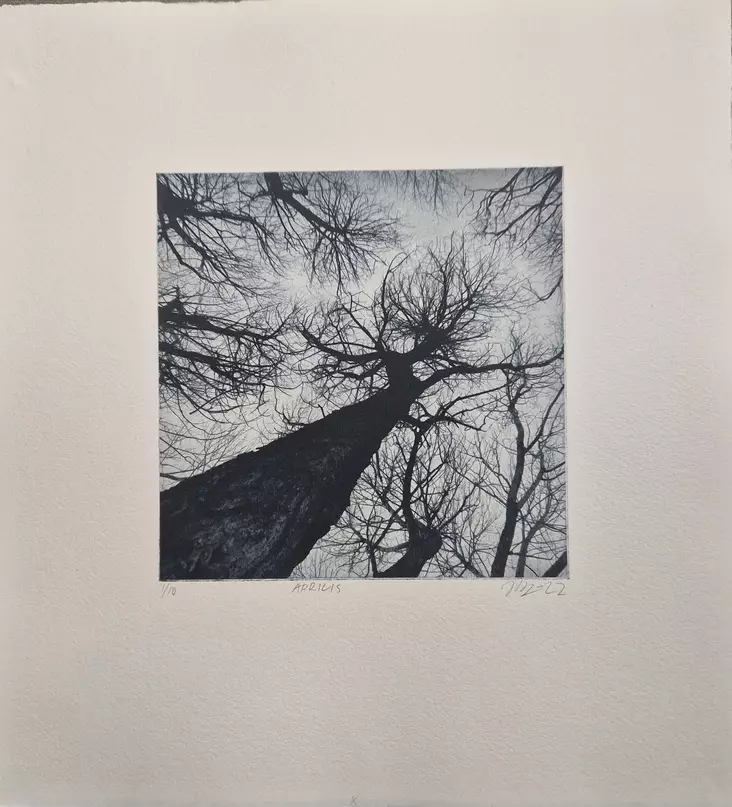 Laakso Juha: Aprilis - Pienet vedokset - T11658 - 1