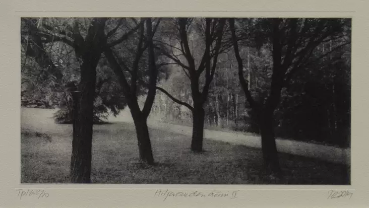 Laakso Juha: Hiljaisuuden ääni IV - Pienet vedokset - t9998 - 1