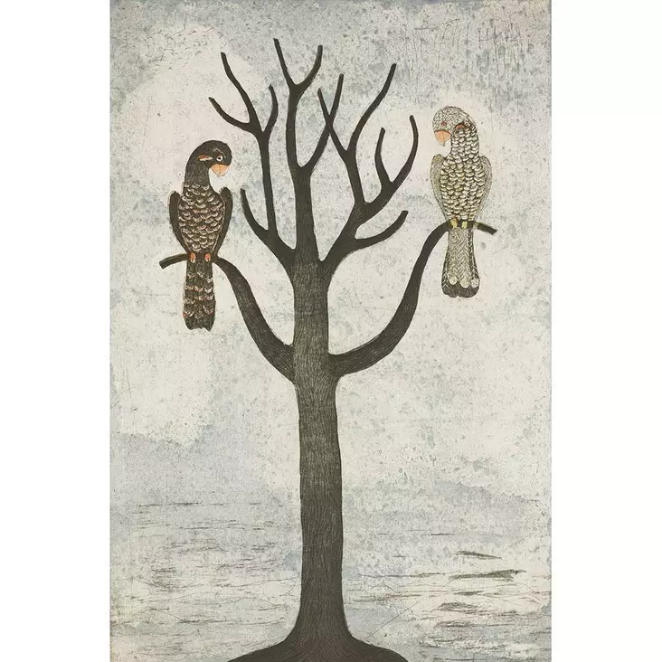 Neuvonen Kirsi: Papukaijat - Suuret vedokset - t10898 - 1