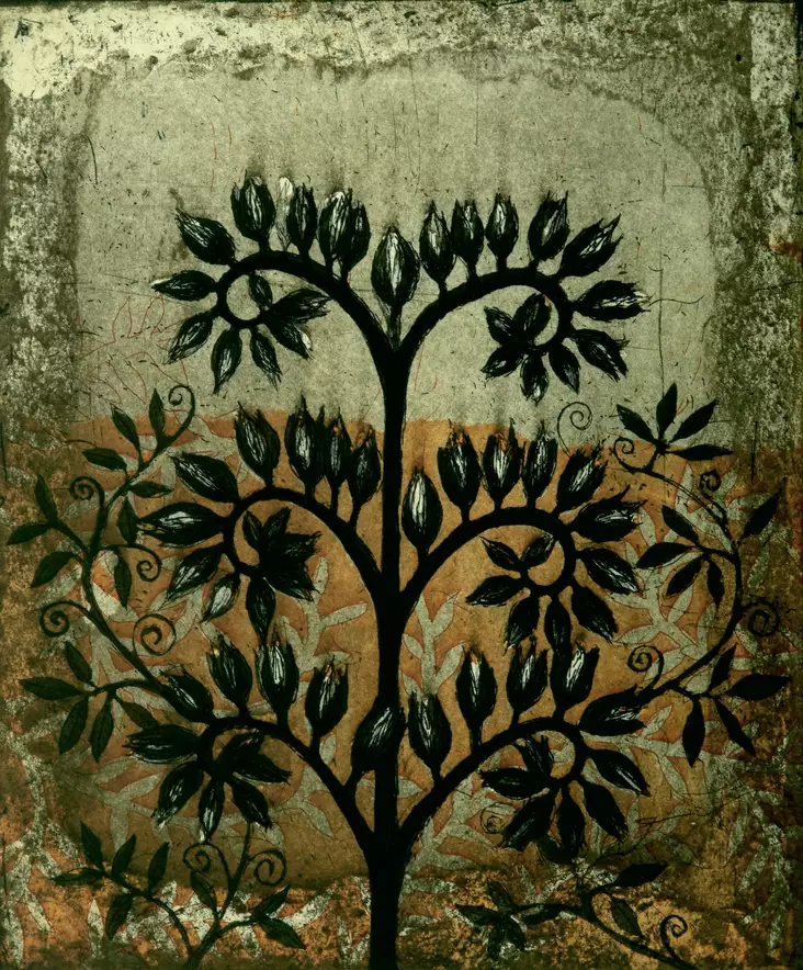 Neuvonen Kirsi: Phacelia Congesta - Pienet vedokset - t10948 - 1