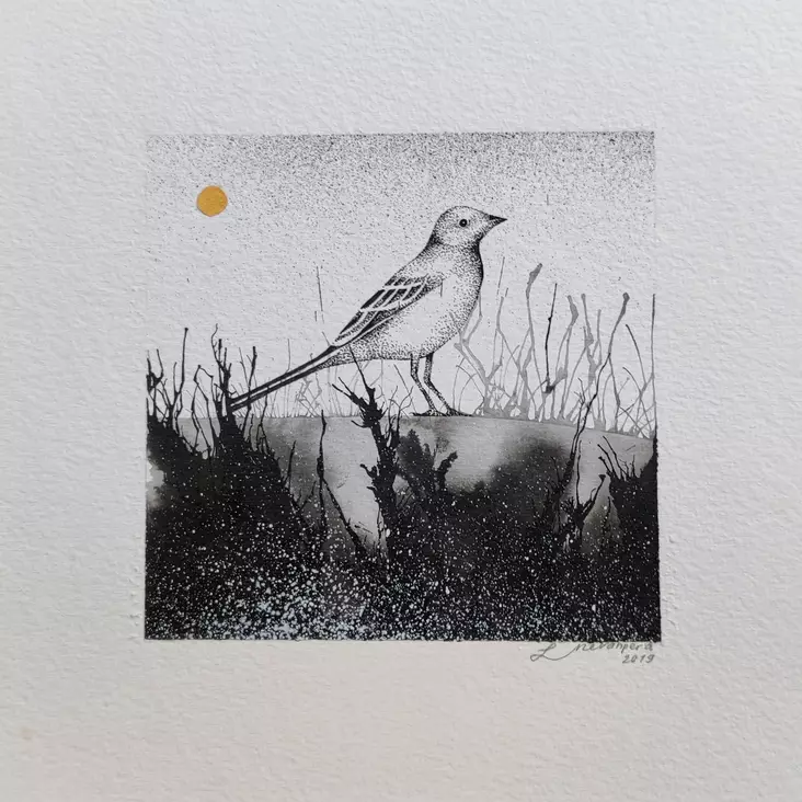 Nevanperä Lotta: Sarjasta: Mustaa viljaa - Pienet vedokset - T11078 - 1