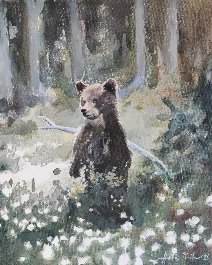 Pisilä Heta: Pikkukarhu - Pisilä Heta - t12398 - 1