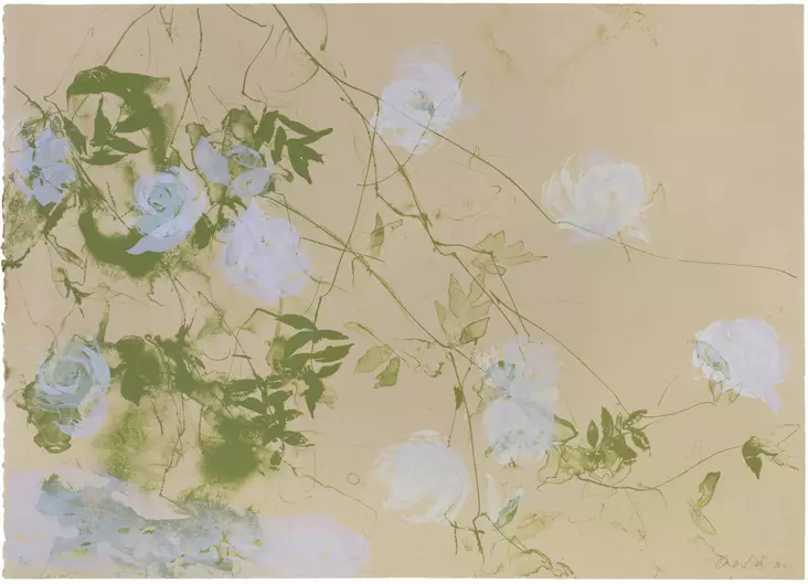 Sirviö Kaisu: Kerrottu ruusu - Suuret vedokset - T10328 - 1