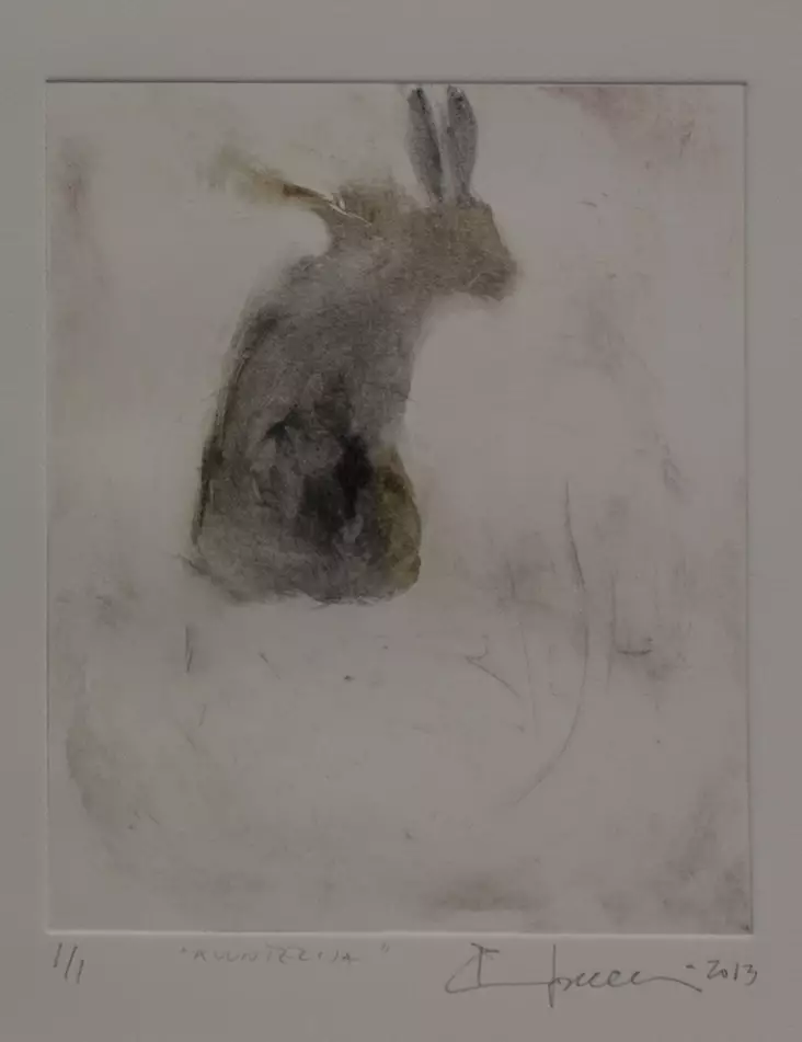 Soininen Riikka: Kuuntelija - Pienet vedokset - t8798 - 1