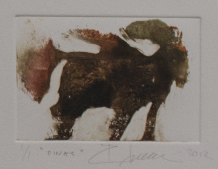 Soininen Riikka: Oinas - Pienet vedokset - t8728 - 1