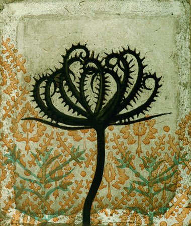 Taidemyynti: Koelpinia linearis - Keskisuuret vedokset - t8138 - 1