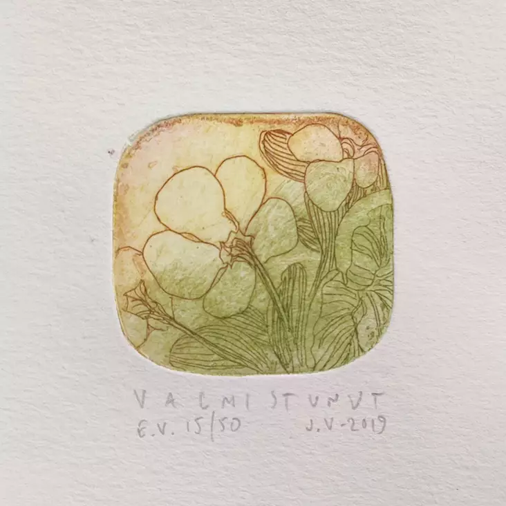 Vähäsöyrinki Joonas: Valmistunut - Pienet vedokset - t11408 - 1