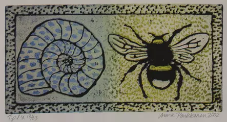 Parkkonen Anna: Simpukka ja kimalainen - Pienet vedokset - t6439 - 1