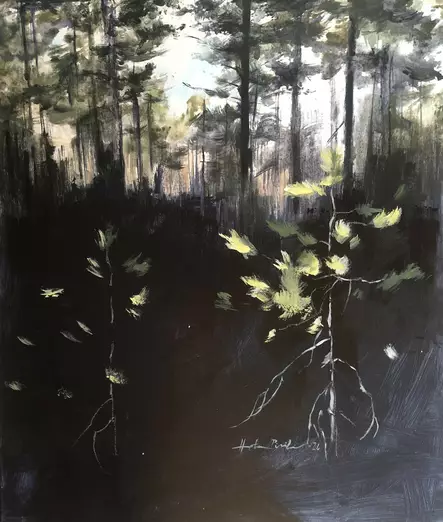 Pisilä Heta: Mäntyset II - Pisilä Heta - t12399 - 1