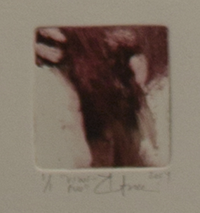 Soininen Riikka: Viinipuu - Pienet vedokset - t9329 - 1