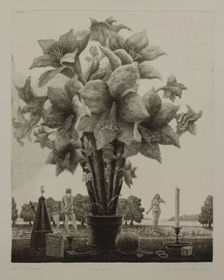 Hannula Simo: Amaryllis - Keskisuuret vedokset - t9929 - 1