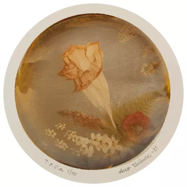 Heikura Asko: Sarjasta Kristallipallot - Pienet vedokset - t11339 - 1