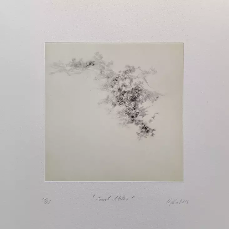 Kivinen Tiina: Forest notes I - Pienet vedokset - t10459 - 1