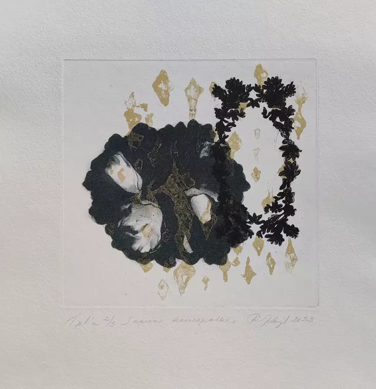 Korppila Raija: Saaren kaivopolku - Pienet vedokset - t11939 - 1