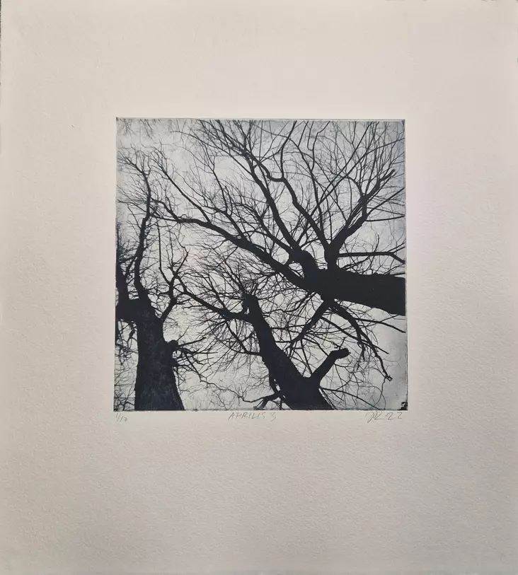 Laakso Juha: Aprilis 3 - Pienet vedokset - T11659 - 1