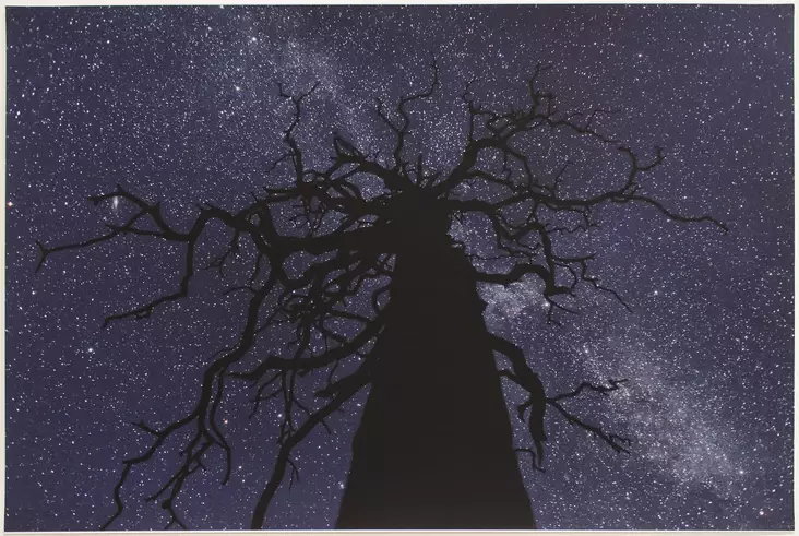 Luhta Jorma: Valokuva 1 - Suuret vedokset - t7799 - 1