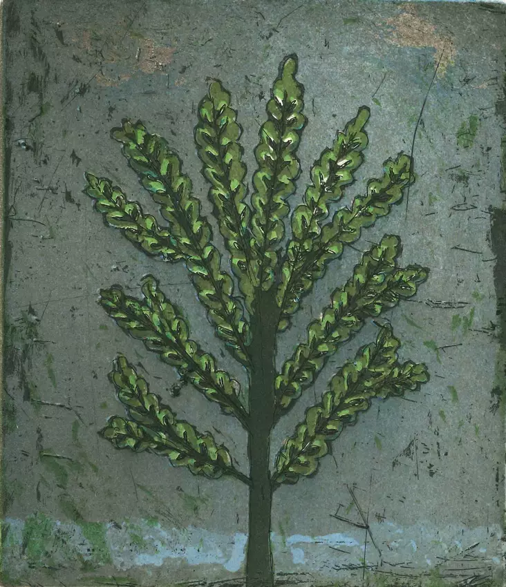 Neuvonen Kirsi: Puutaheinää - Pienet vedokset - t10939 - 1