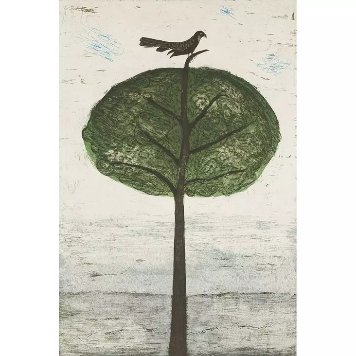 Neuvonen Kirsi: Tähystäjä - Suuret vedokset - t10899 - 1