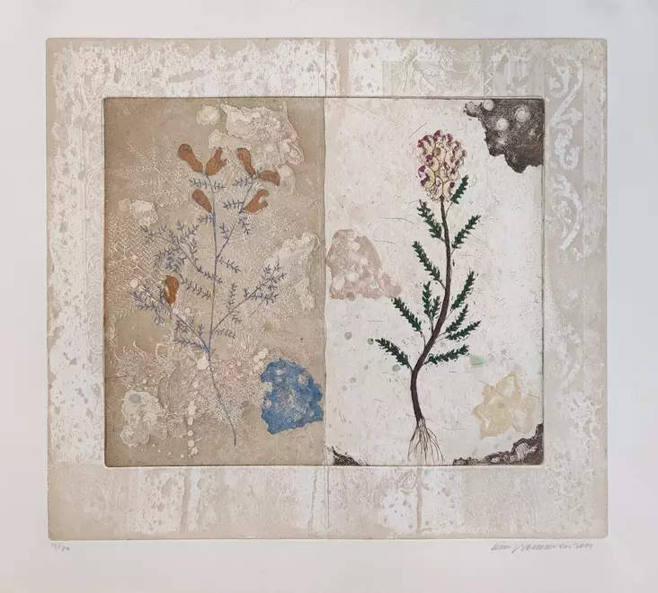 Neuvonen Kirsi: Vihellysheinä - Keskisuuret vedokset - T5559 - 1