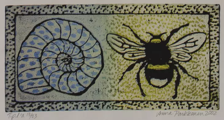 Parkkonen Anna: Simpukka ja kimalainen - Pienet vedokset - t6439 - 1