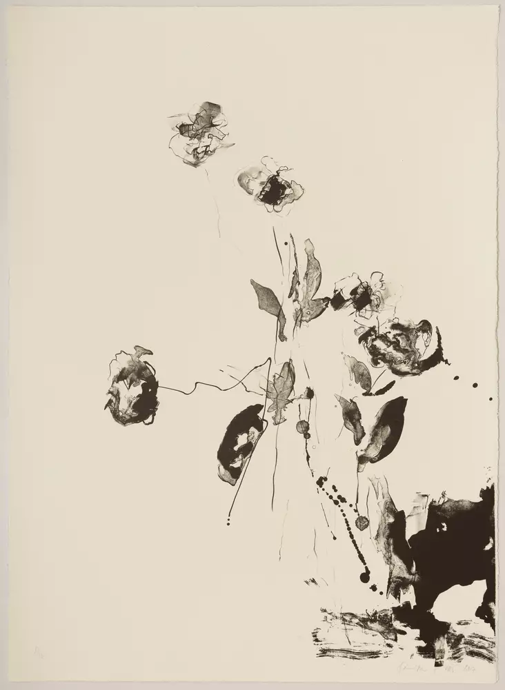 Sirviö Kaisu: Impressio - Suuret vedokset - T10329 - 1