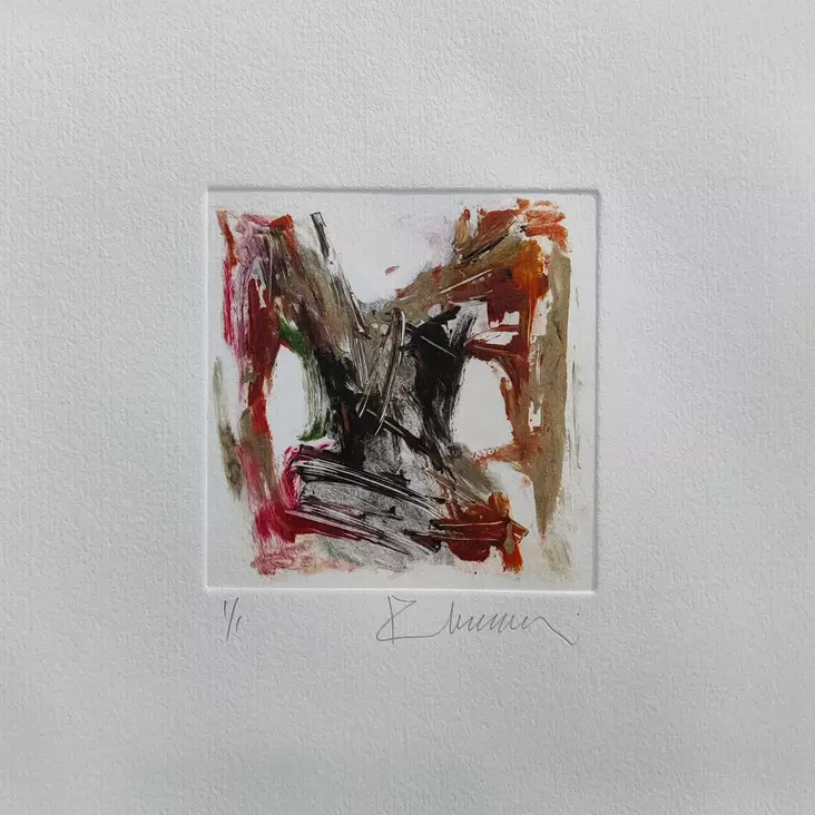 Soininen Riikka - Pienet vedokset - T11899 - 1