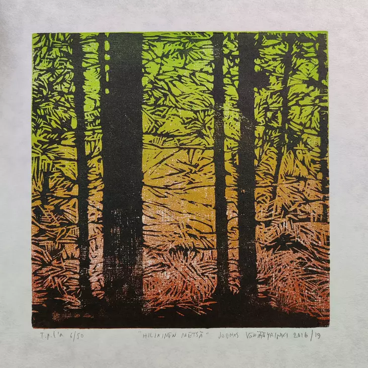 Vähäsöyrinki Joonas: Hiljainen metsä - Pienet vedokset - t11399 - 1