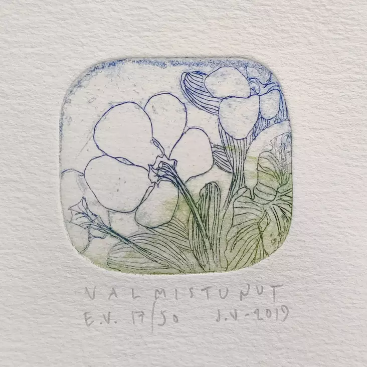 Vähäsöyrinki Joonas: Valmistunut - Pienet vedokset - t11409 - 1