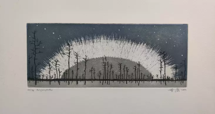 Varis Hanna: Pohjanportti - Pienet vedokset - t11619 - 1