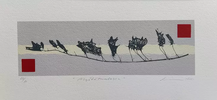 Virve Lilja: Myötätuulessa - Pienet vedokset - t11929 - 1