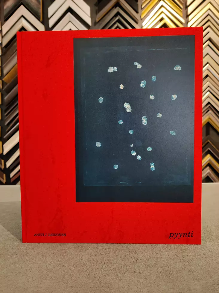 Pyynti (book / kirja) - Leinonen Antti - pyynti - 1